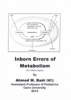 IEM (a . badr).pdf